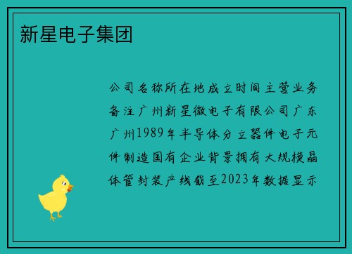 新星电子集团